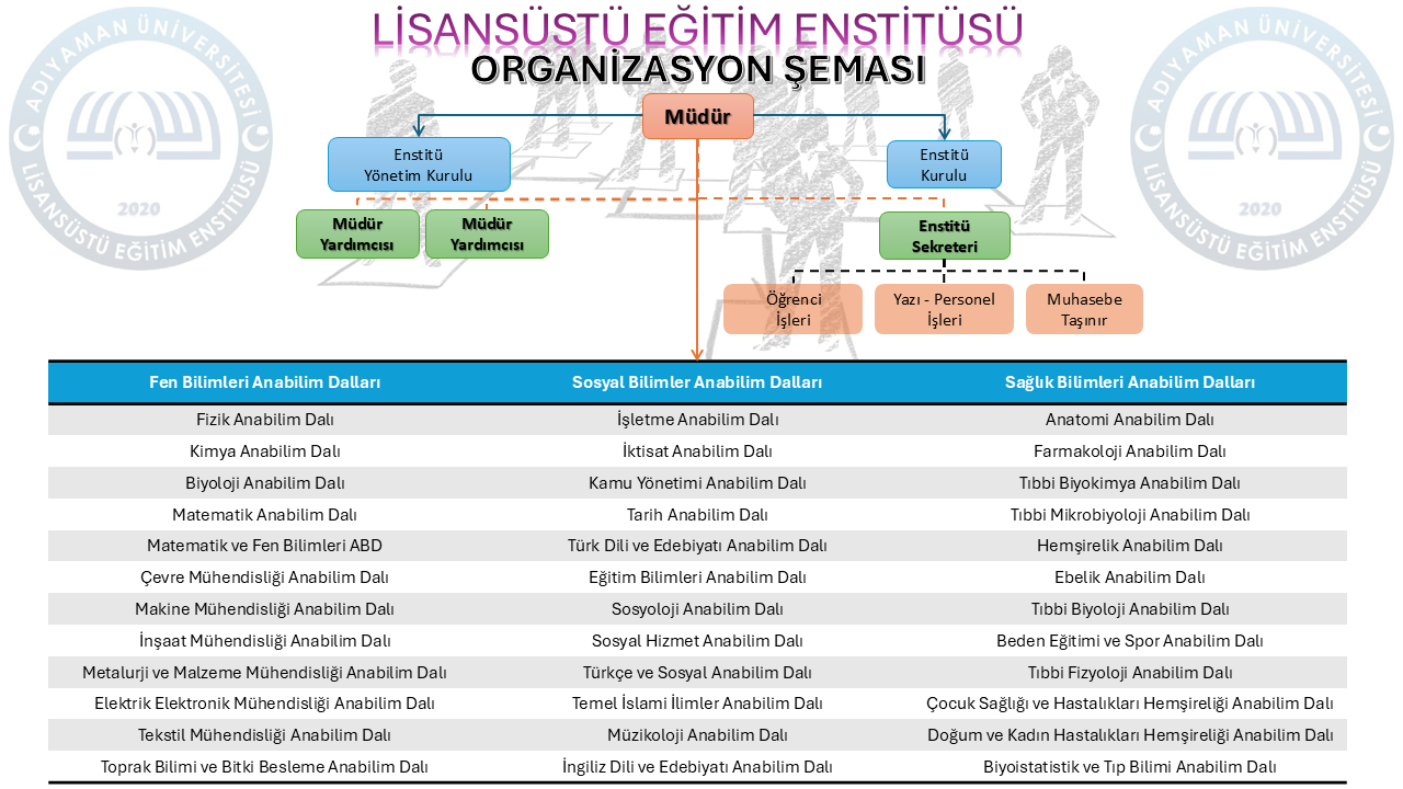 organizasyon şeması.png